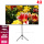 60 inch Tripod Indoor and Outdoor Projection Screen